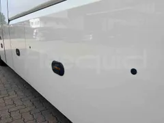 Man Lion's Coach - Image