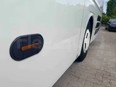 Man Lion's Coach - Image