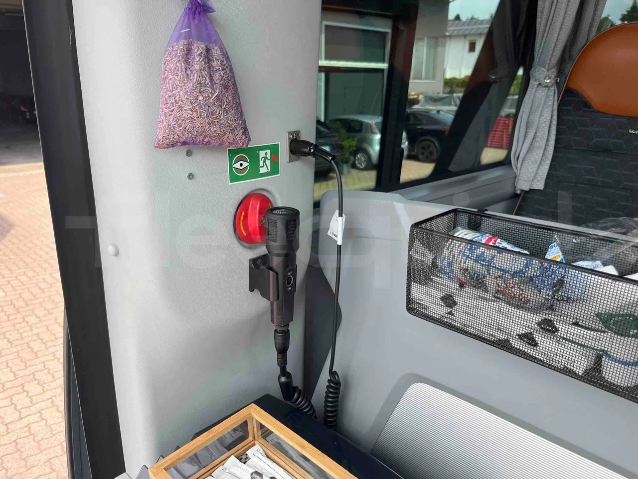 Man Lion's Coach - hostes microphone accessories photo