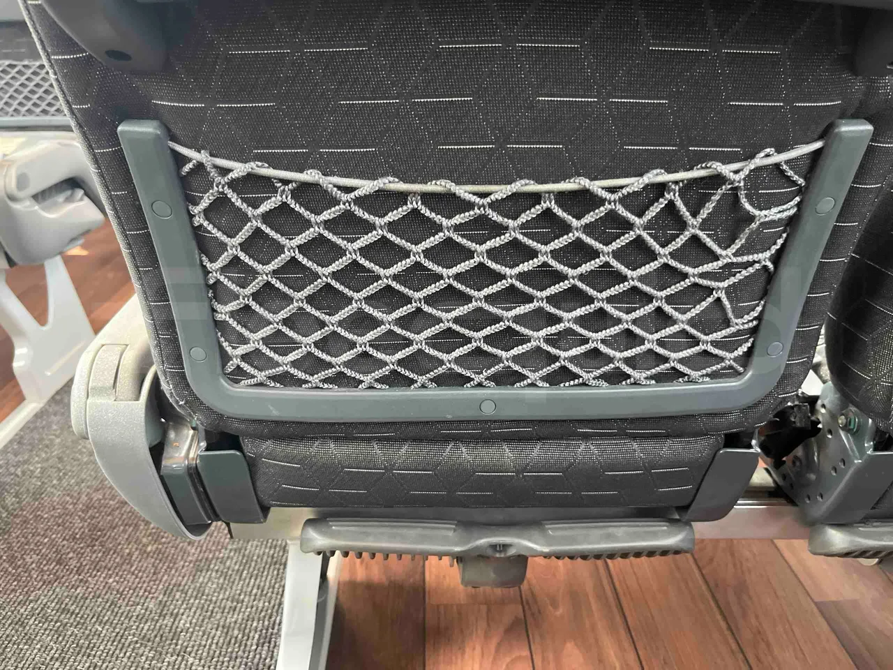 Man Lion's Coach - mesh detail photo