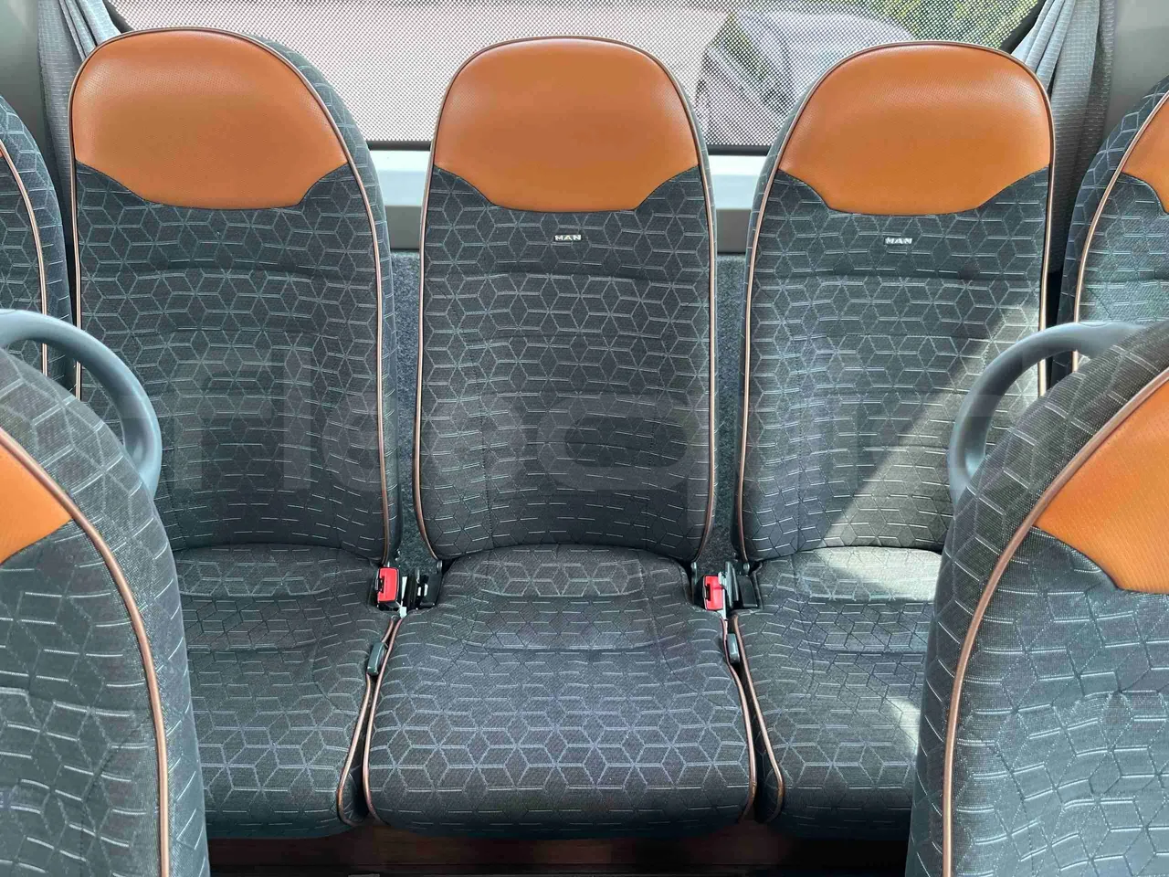 Man Lion's Coach - single seat detail