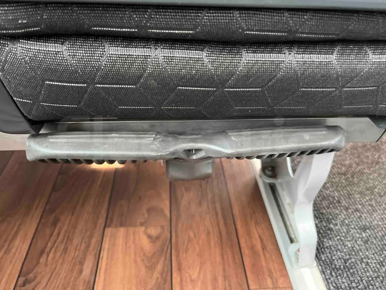 Man Lion's Coach - footrest detail photo