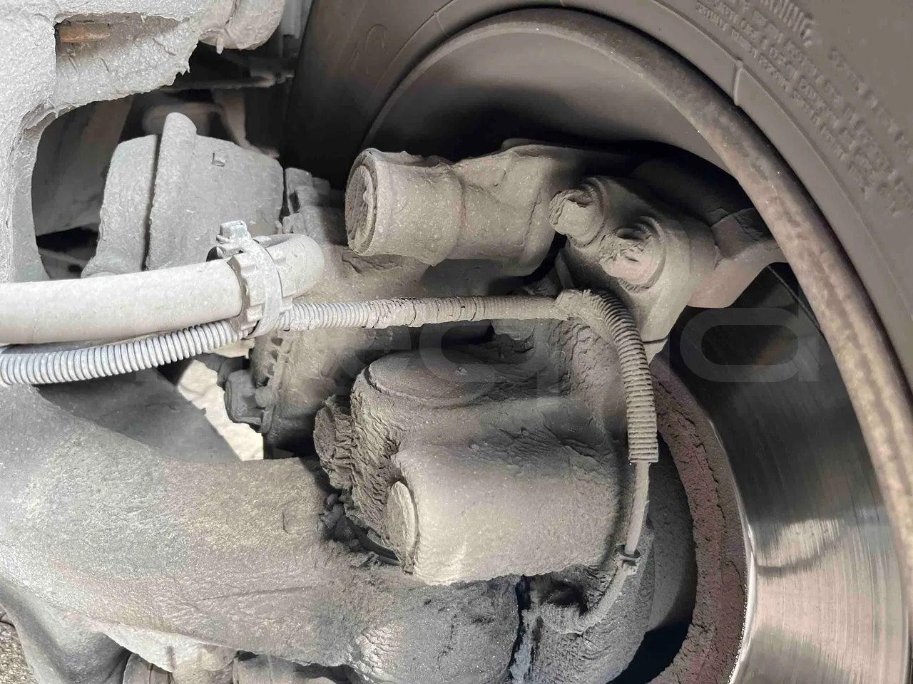 Man Lion's Coach - front brake calipers left