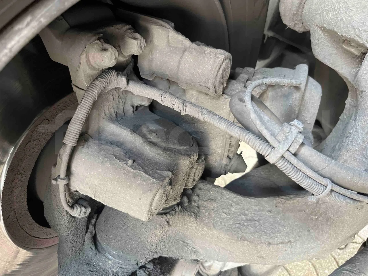 Man Lion's Coach - front brake calipers right