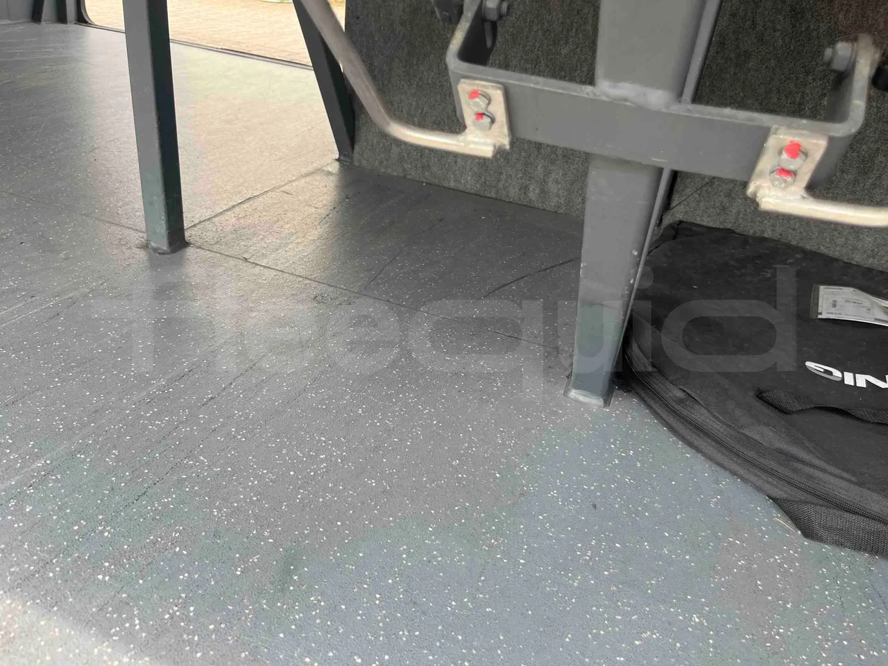 Man Lion's Coach - under carpet photo