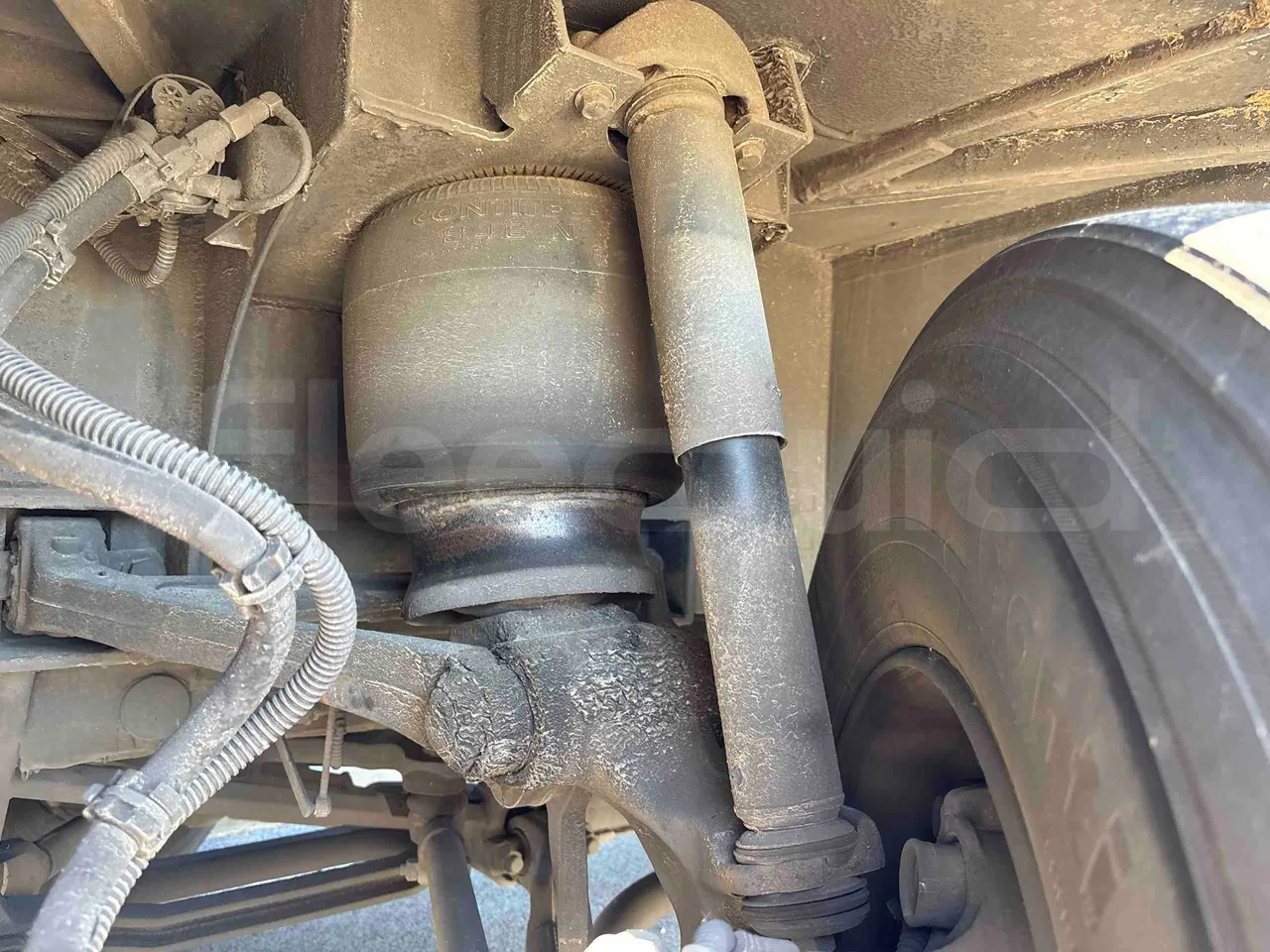 Setra S515 - front shock absorbers left