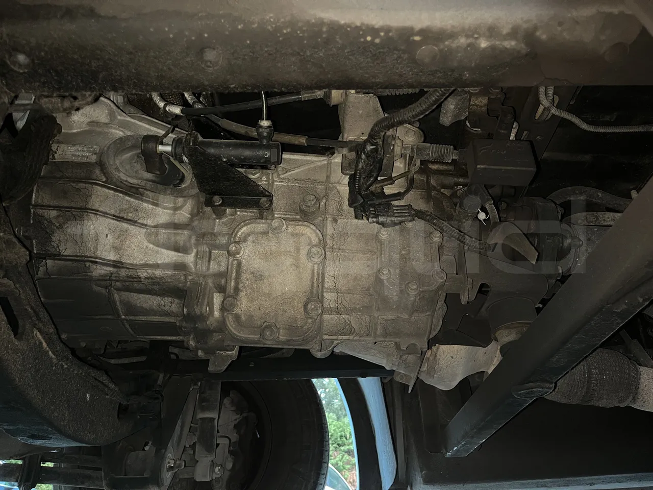 Iveco Daily - Gearbox