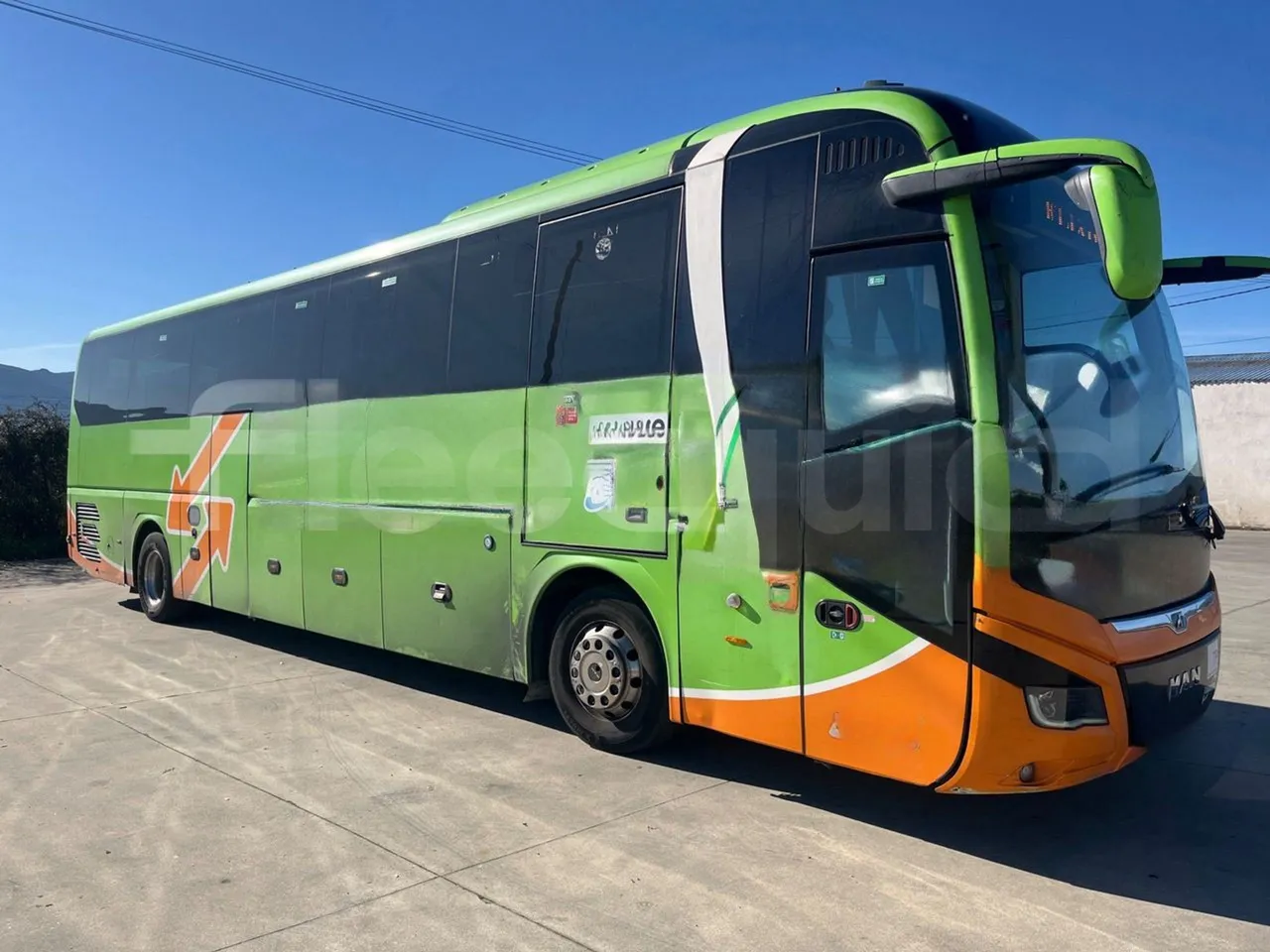 Man Lion's Coach C - Base cover photo