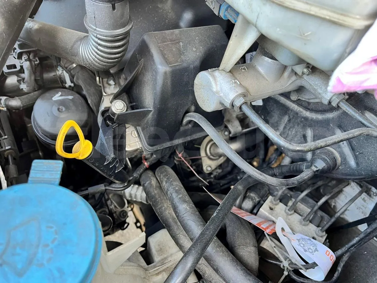 Mercedes-Benz Sprinter Mercus - Euro6 - 120kW -  6.961mt - 3/4 right rear doors closed