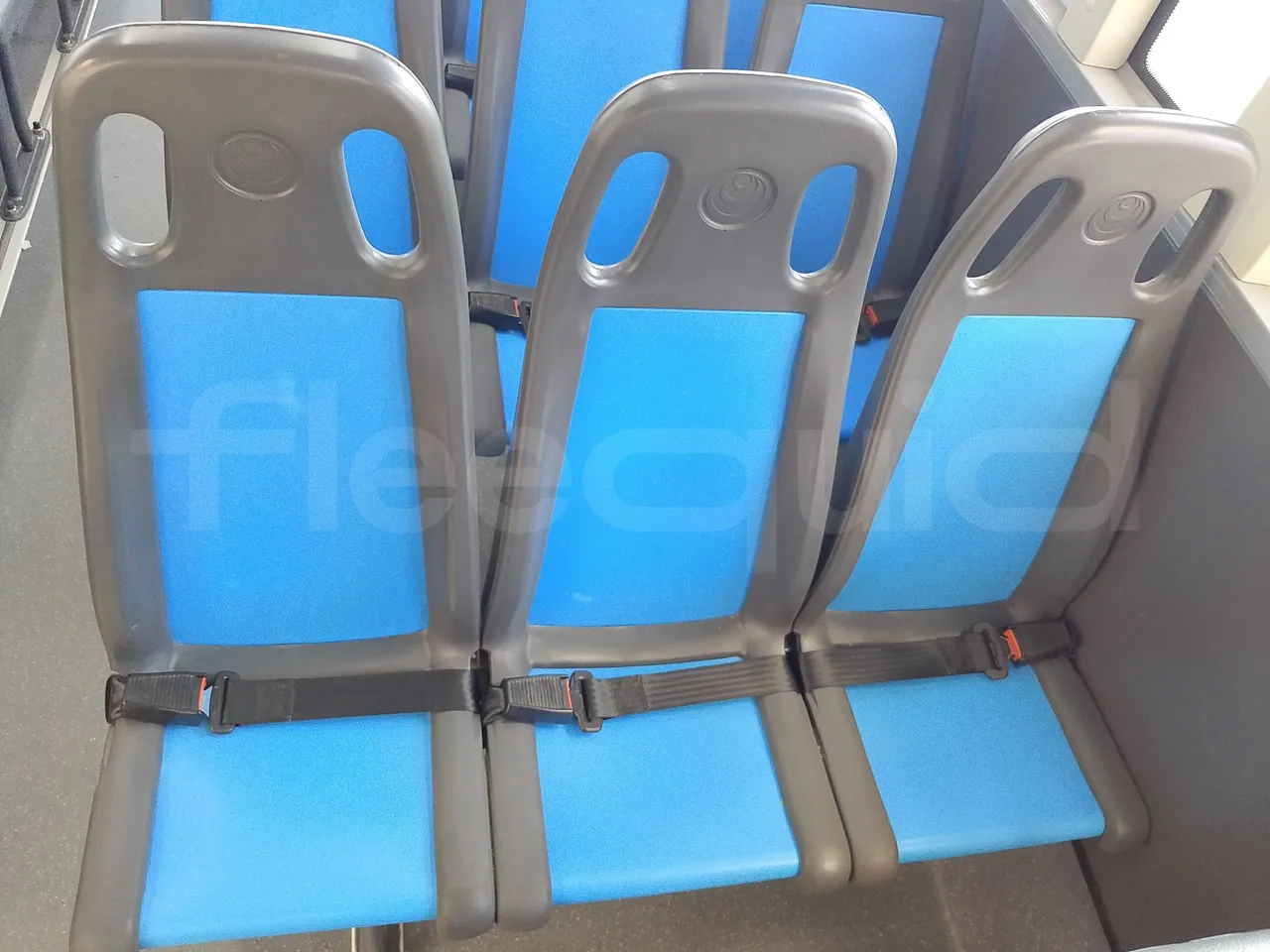 Iveco Indcar WGIVMY11 MOBI SCUOLABUS - EUR6 - 100Kw - 8,592m - single seat detail