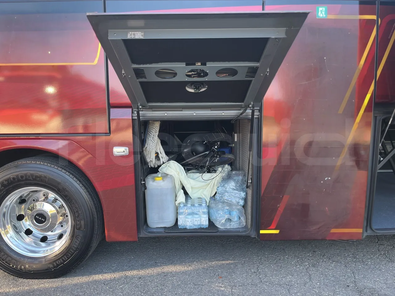 Man Lion's Coach L - Image