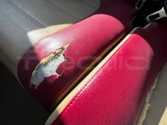 Iveco Magelys SFR210 - Euro5 - 331kW - 12.250mt - Image