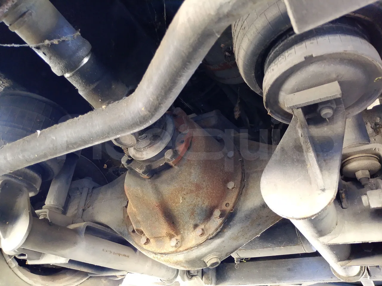 Car Ind GT-ROY ROY/ Euro 5 - 209 Kw - 9,2 Mt - differential photo