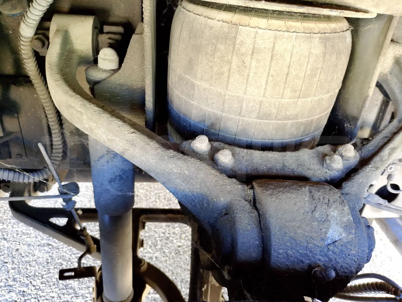 Car Ind GT-ROY ROY/ Euro 5 - 209 Kw - 9,2 Mt - front air springs right