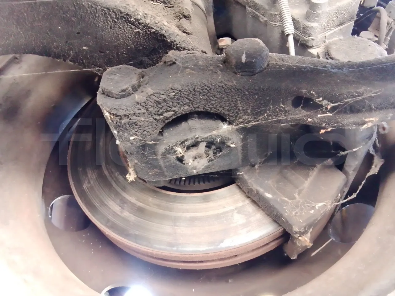 Car Ind GT-ROY ROY/ Euro 5 - 209 Kw - 9,2 Mt - front discs right