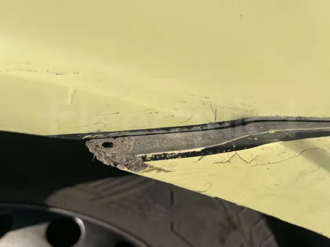 Iveco Daily CARIND - Euro6 - 132kW - 8.400mt - Image