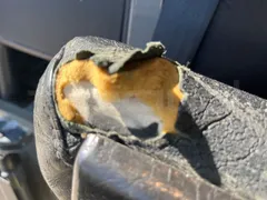 Scania Irizar Century K124EB - Euro2 - 265kW - 12.850mt - Image