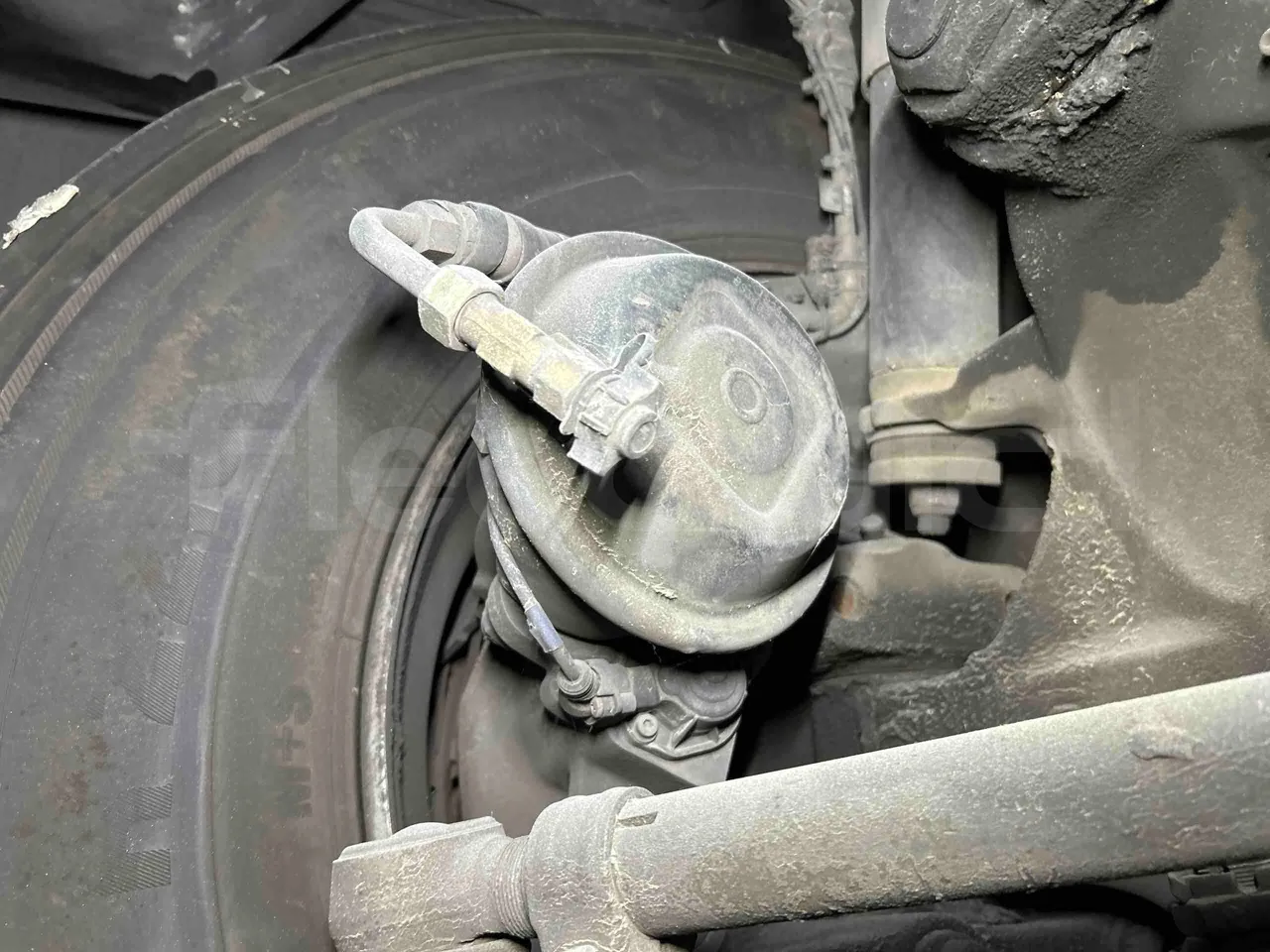 Temsa Safari - front brake calipers right