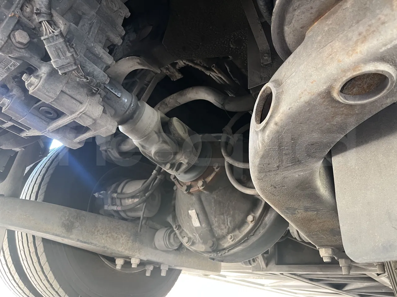 Iveco Orlandi - Differential