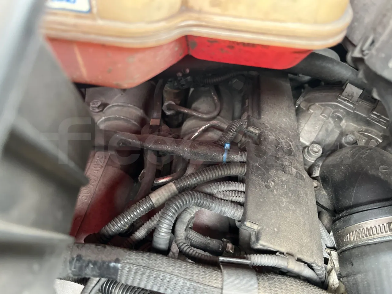Iveco Auto Cuby 70C17 - Euro 6 - 125 kW - 8.398 mt - fire extinguishing system