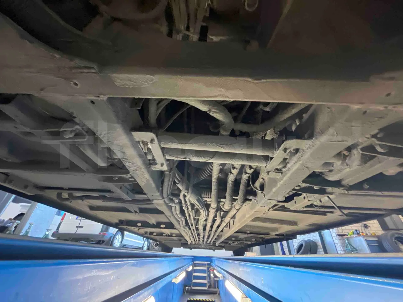 Man Lion's Intercity - front discs left