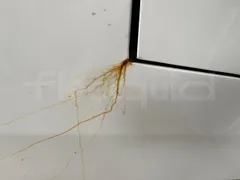 Iveco Mago2 M2IV - Euro6 - 162kW - 8.850mt - Image