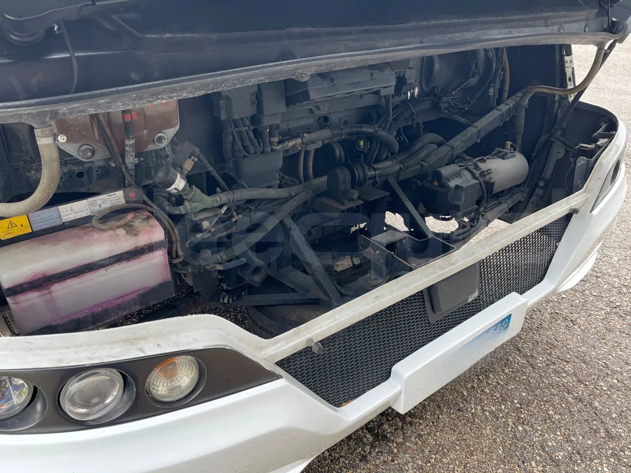 Iveco Mago2 M2IV - Euro6 - 162kW - 8.850mt - vehicle plate photo