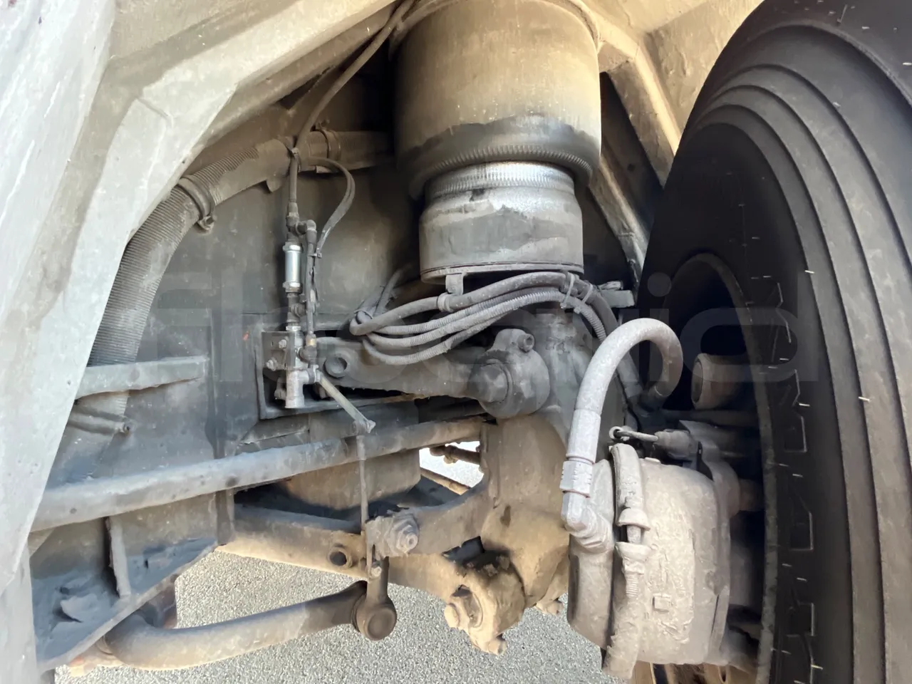 Neoplan 1122/3 L -EUR3 -390kW -13.79m - front shock absorbers left