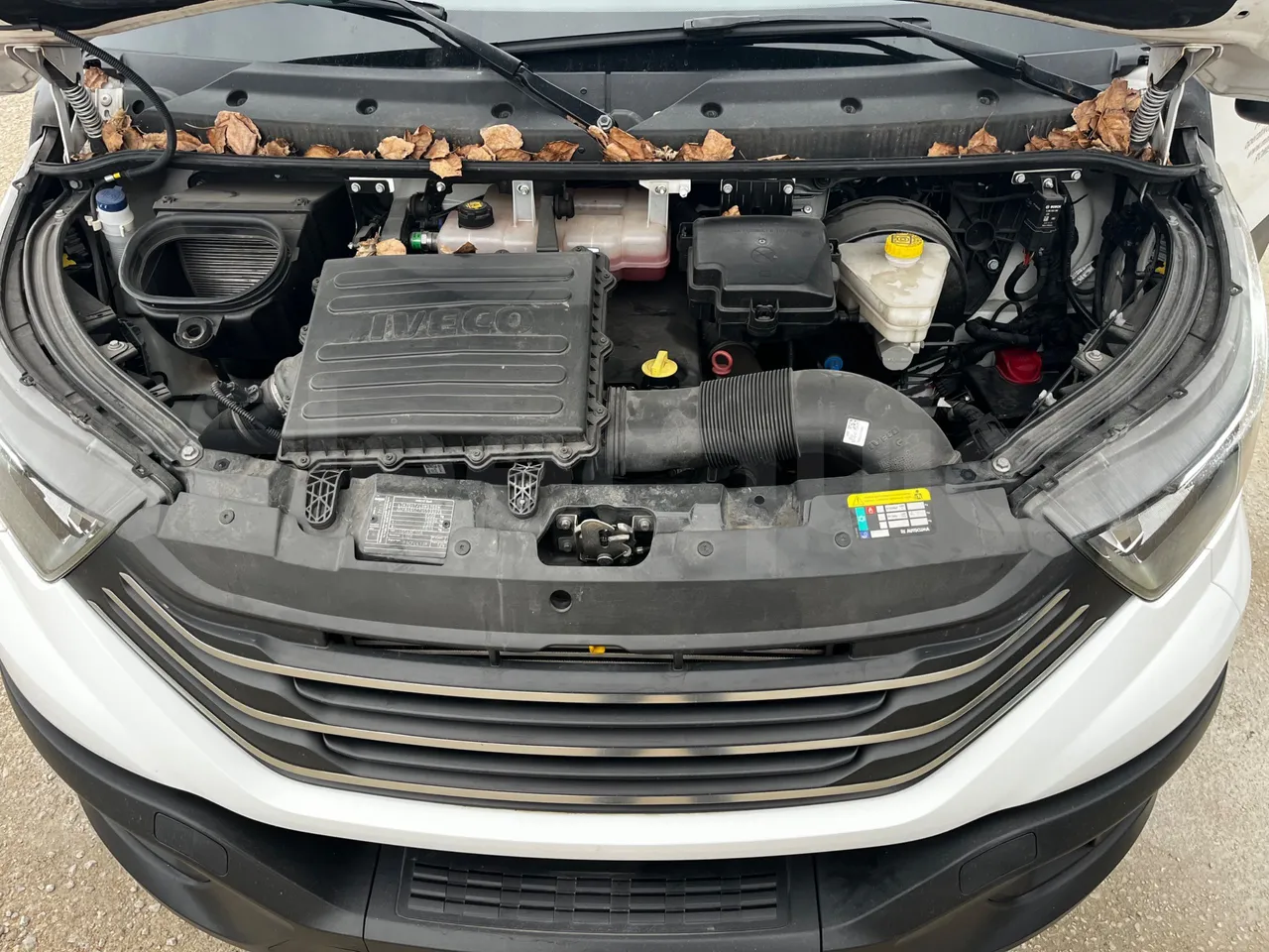 Iveco Daily A65C18 - EUR6 - 129kW - 7.686m - platform code photo