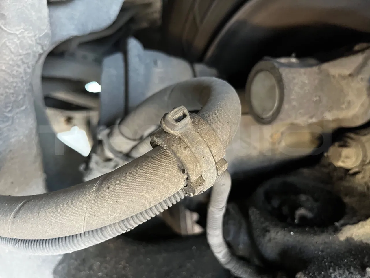 Neoplan Skyliner - front brake calipers right