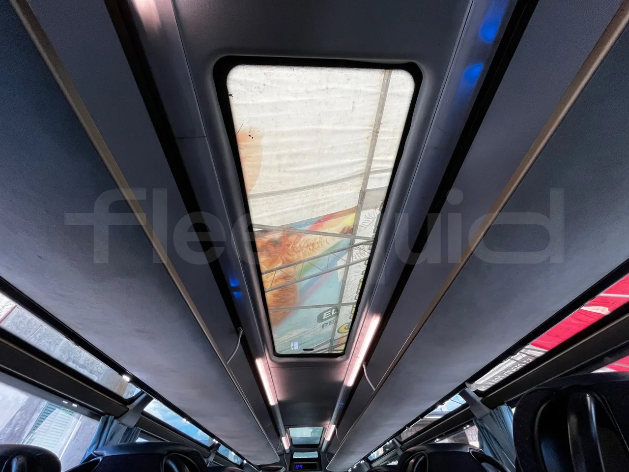 Neoplan Skyliner - overhead compartments photo