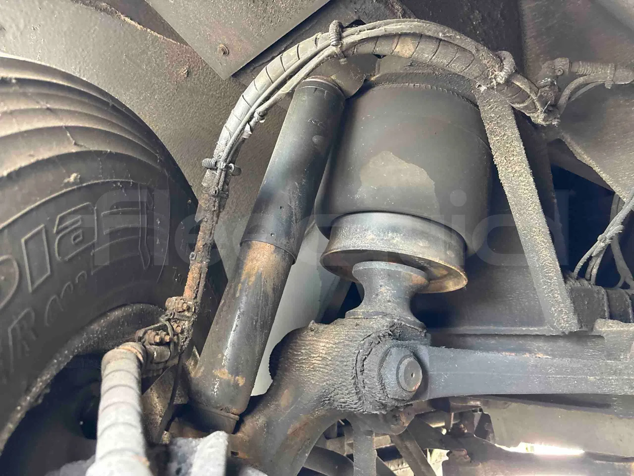Temsa Safari - front shock absorbers right