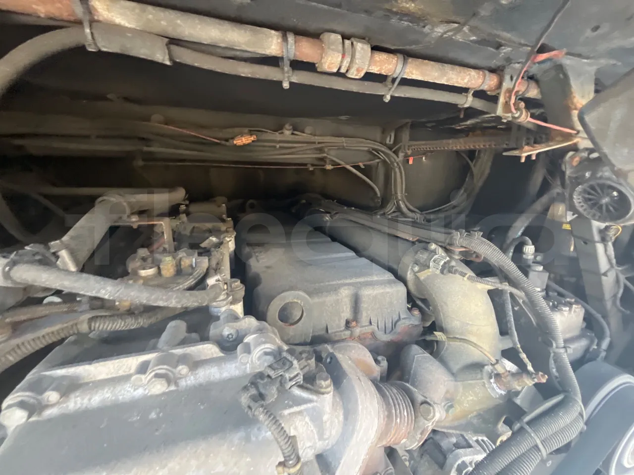 Neoplan Skyliner V6ACB - Euro 6 - 371 kW - 14.000 mt - engine plate photo