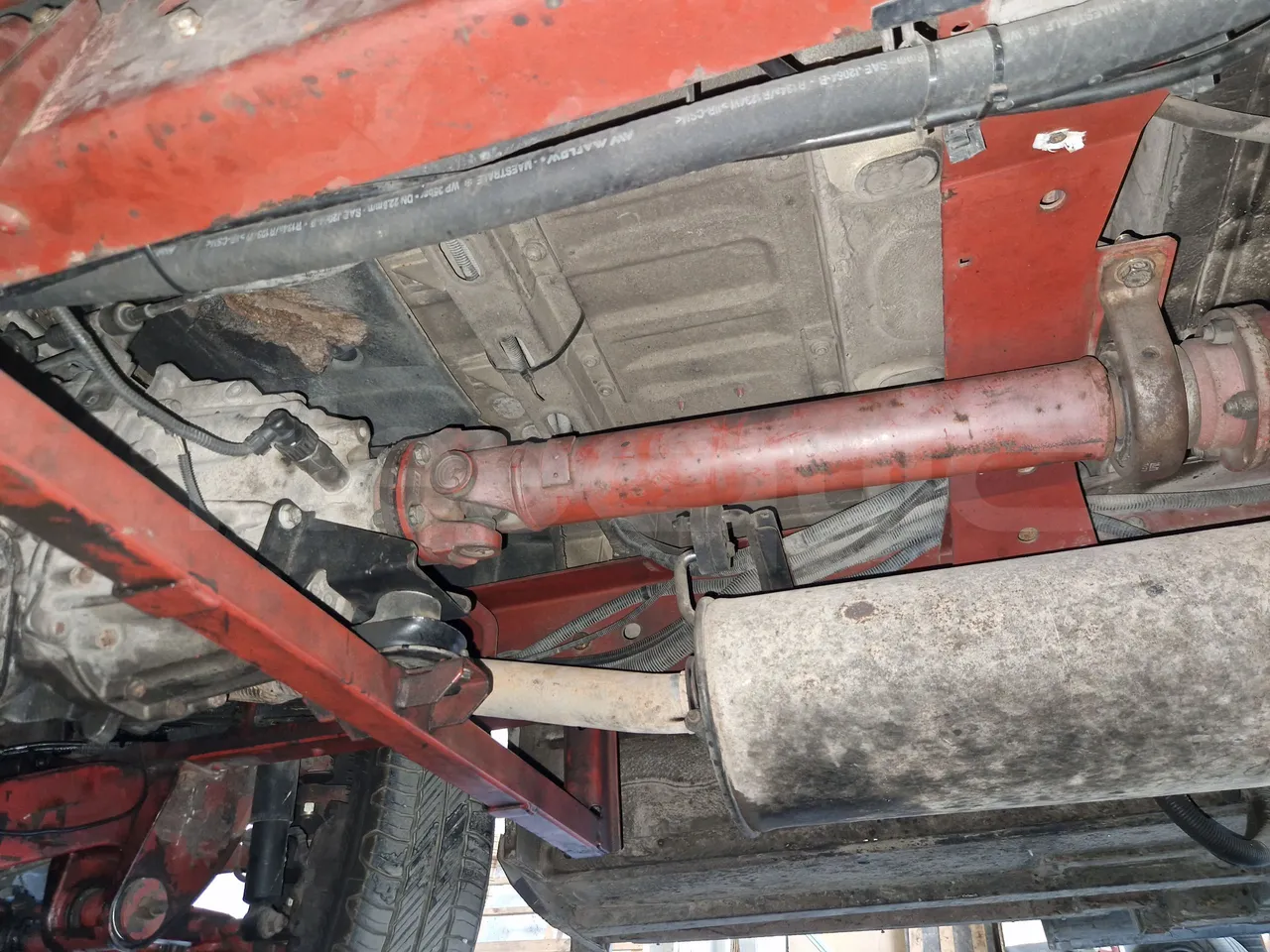 Iveco 65C15/70 JB - driveshaft photo