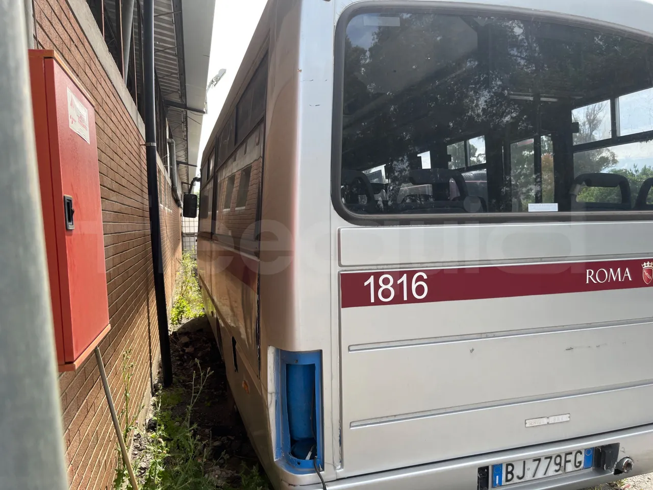 Iveco Cacciamali 59E12 THESI - Euro2 - 3/4 left rear side