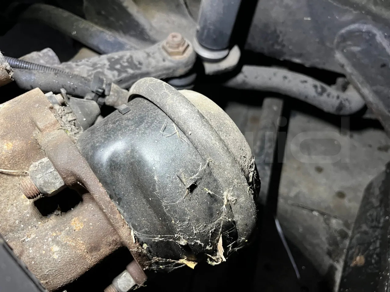 Man A39 A39 -EUR5-235kW -13.730m - front brake calipers right