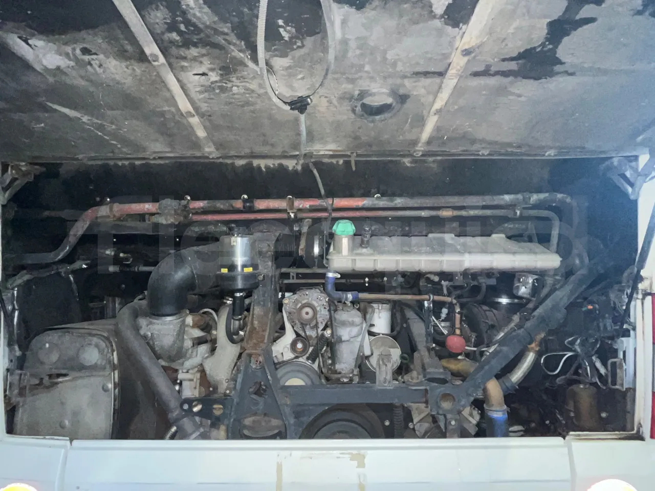 Man Lion's regio UL354NKMIX - Euro 4 - 257 kW - 12.250 mt - rear hatch open