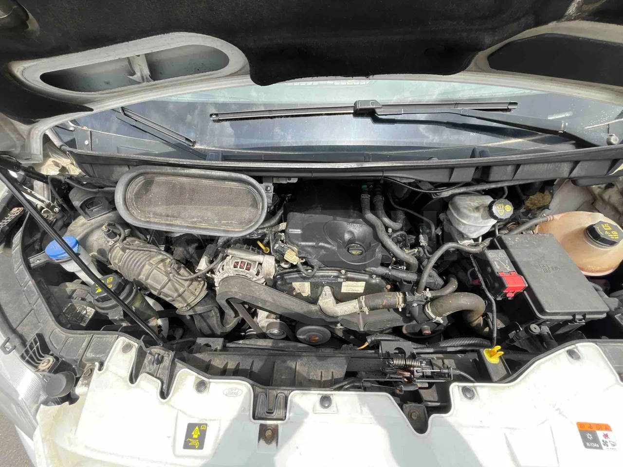Ford Transit - rear hatch open