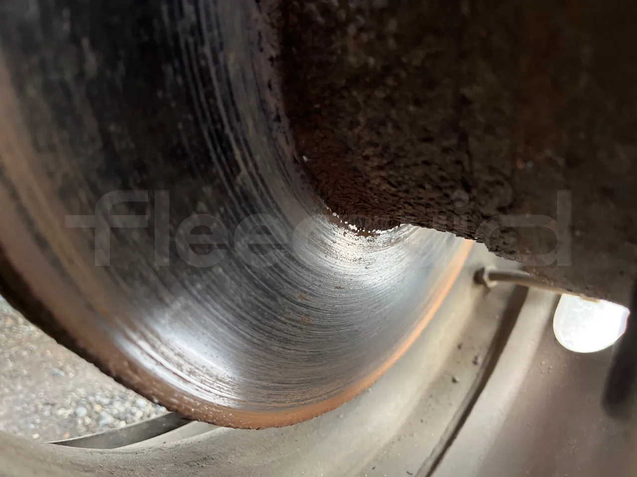 Isuzu Turquoise - front discs right