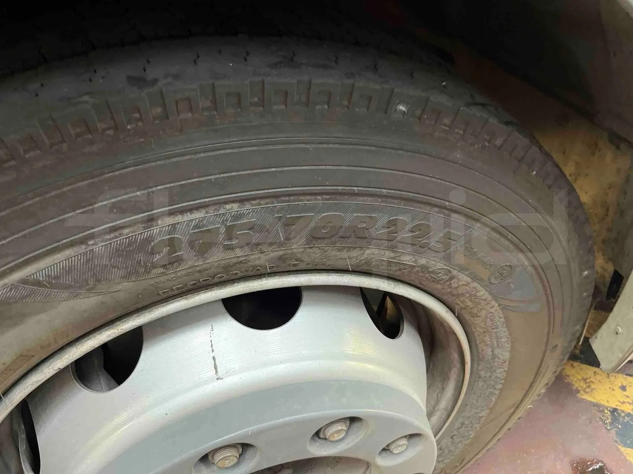 Iveco Citelis - First Axle Left Side: Tyre Size