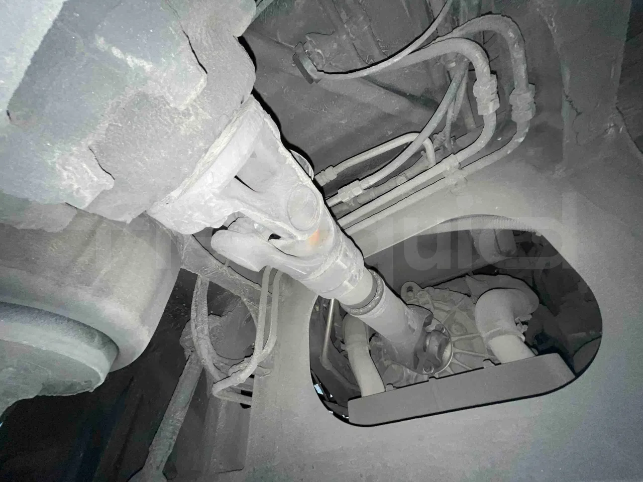 Man Lion's Intercity - front shock absorbers left