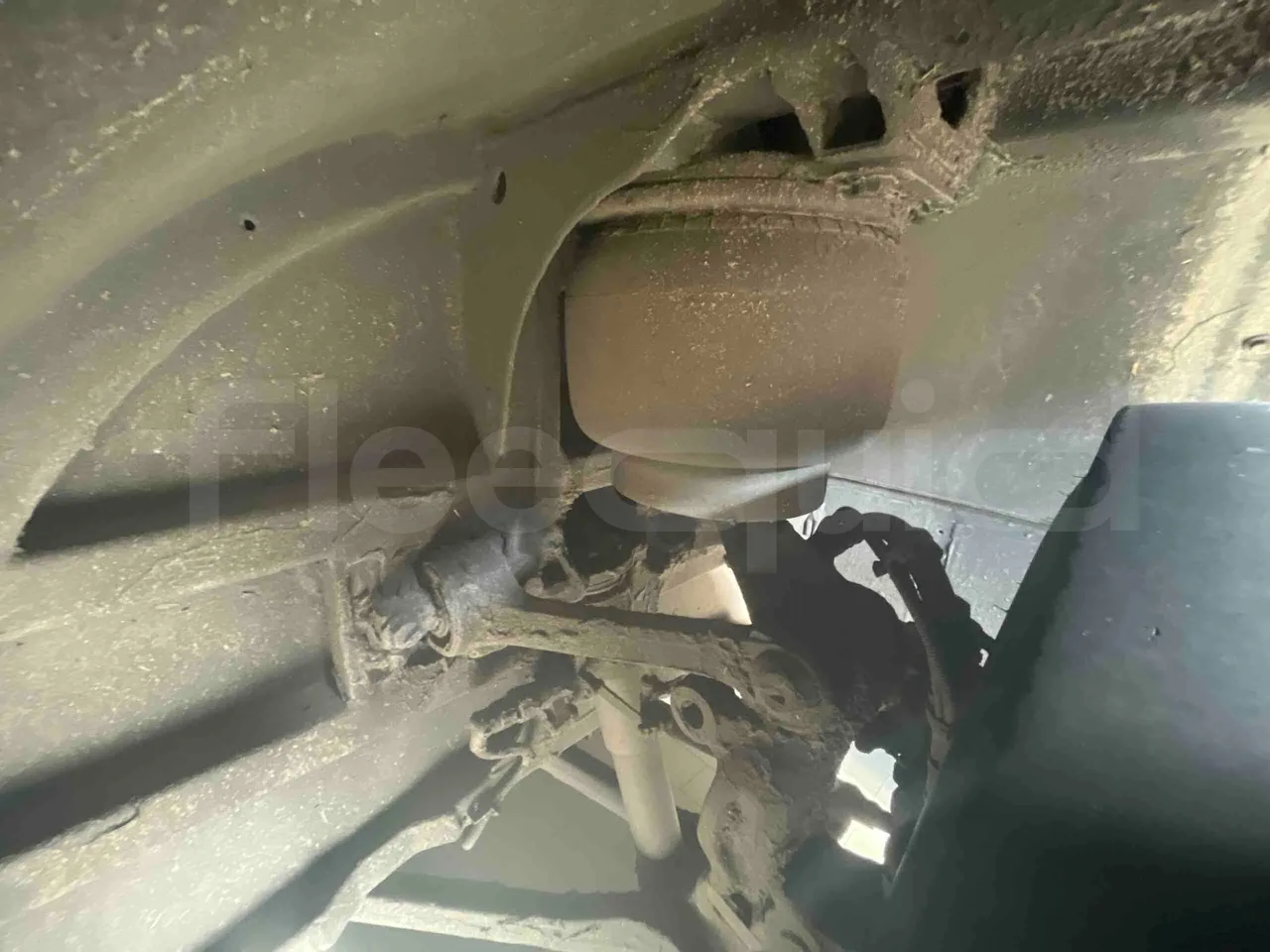 Man Lion's Intercity - front shock absorbers right