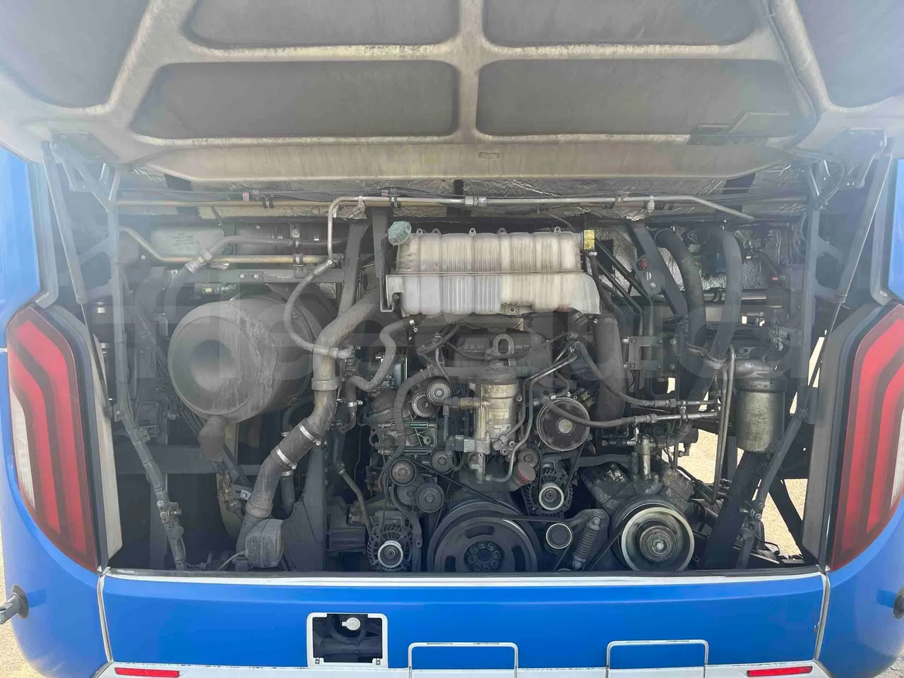 Man Lion's Intercity - rear hatch open