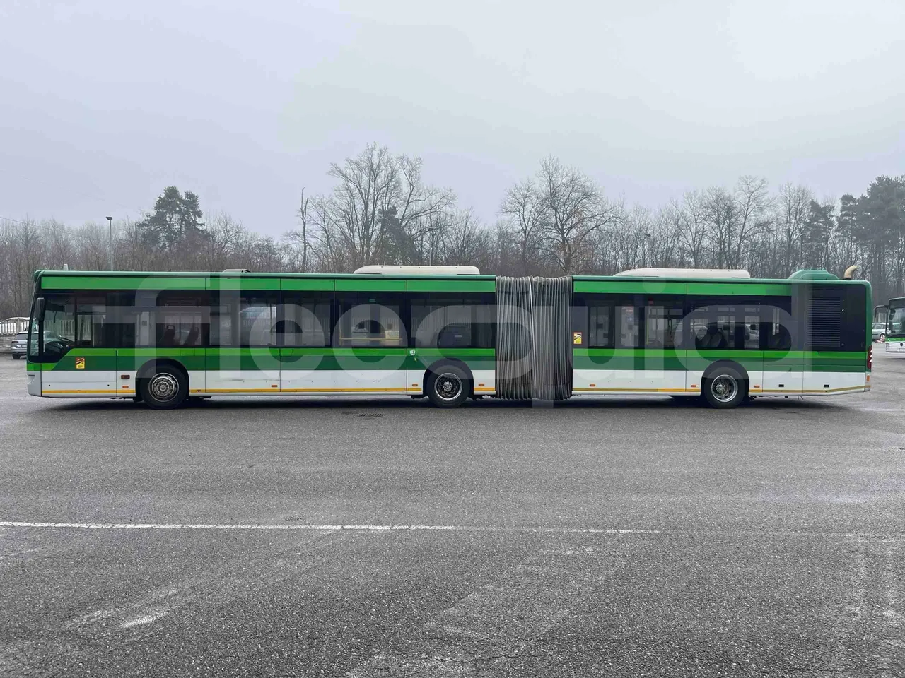 Mercedes-Benz Citaro G 0530 - EUR5 - 260kW - 17.94m - left side photo