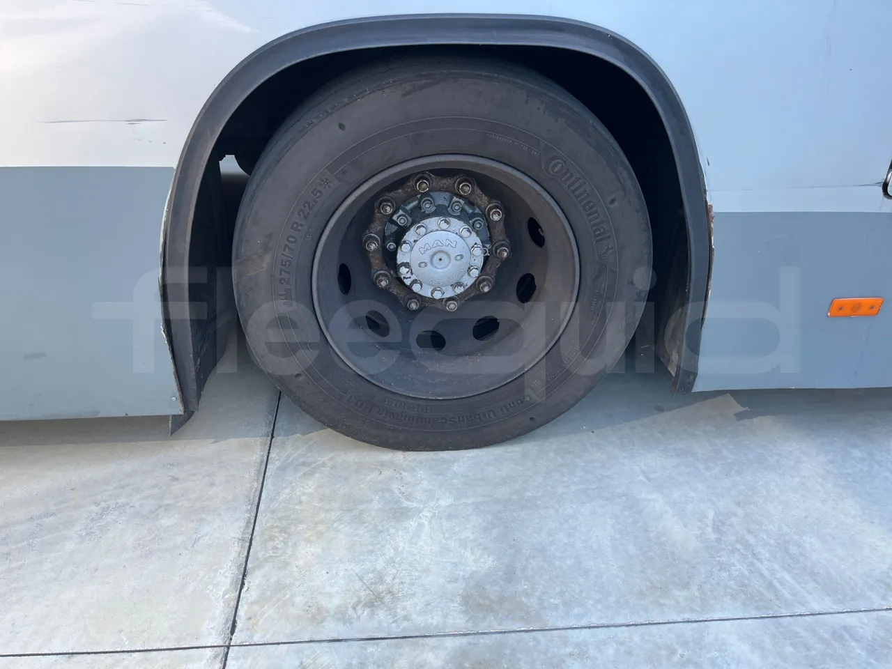 Man Lion's Classic A78 - rear left tire photo