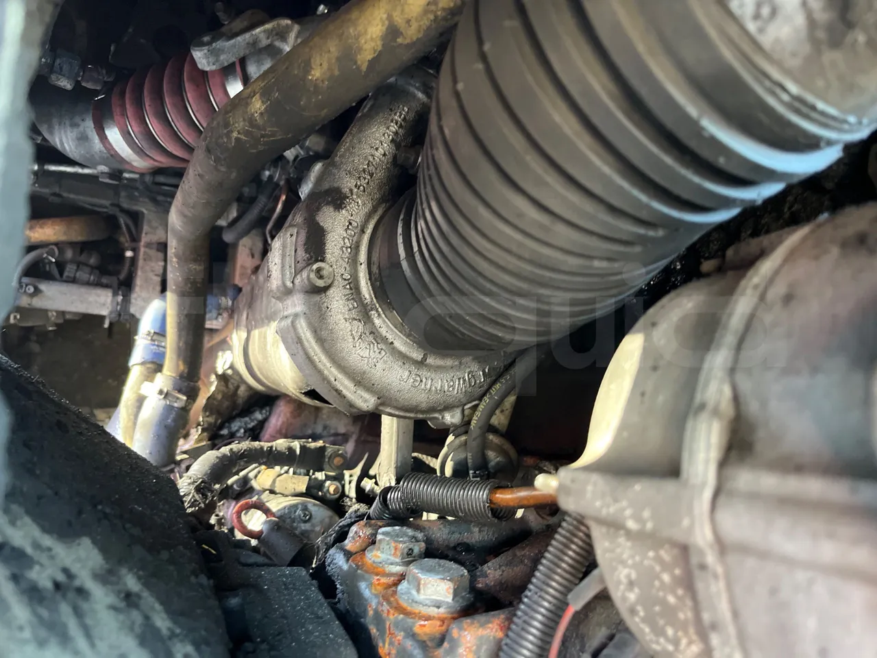 Mercedes-Benz Citaro O530 - Euro4 - 210kW - 11.950m - engine plate photo