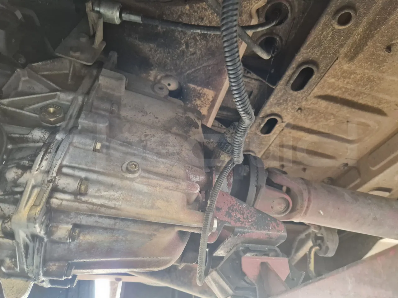Iveco Cacciamali 65C15/70-EUR3 -107 Kw - 7,92 Mt - driveshaft photo