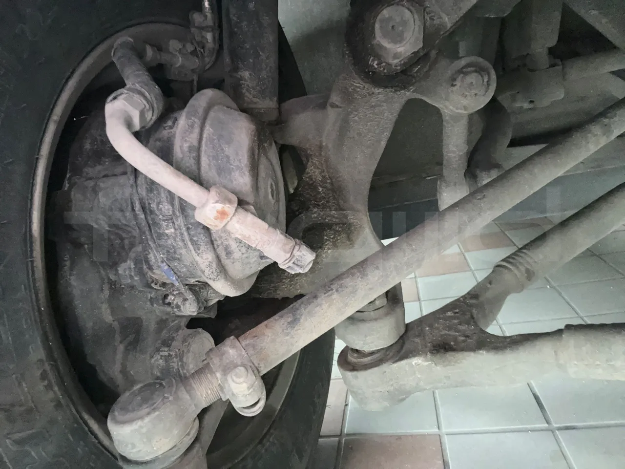 Temsa Safari HD HD12 - EUR6 - 320kW - 12.276m - front shock absorbers right