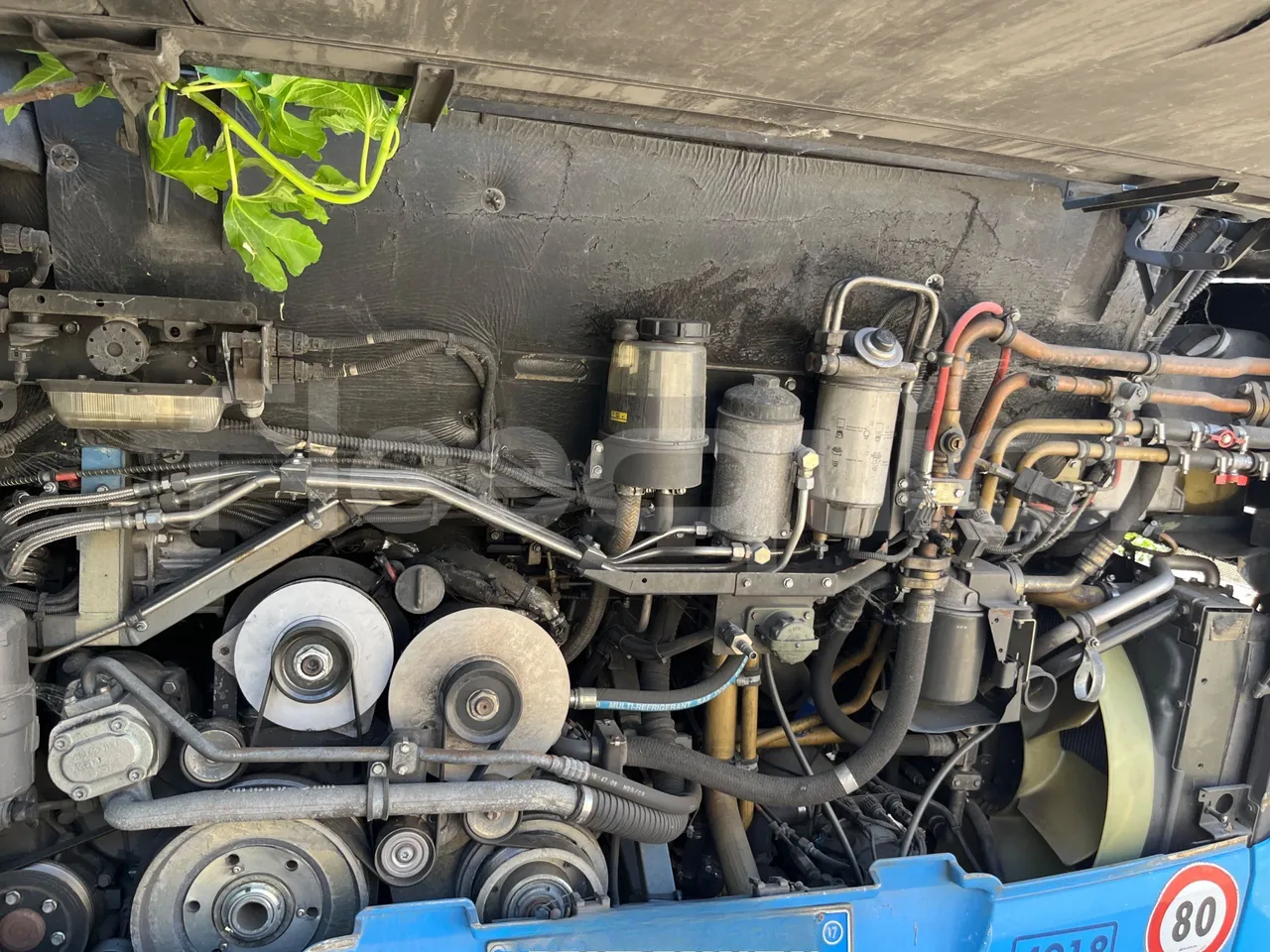 Mercedes-Benz Citaro G O530/Euro 4 - 260 Kw - 17,940 Mt - rear hatch open (mandatory  for bus to scrap)
