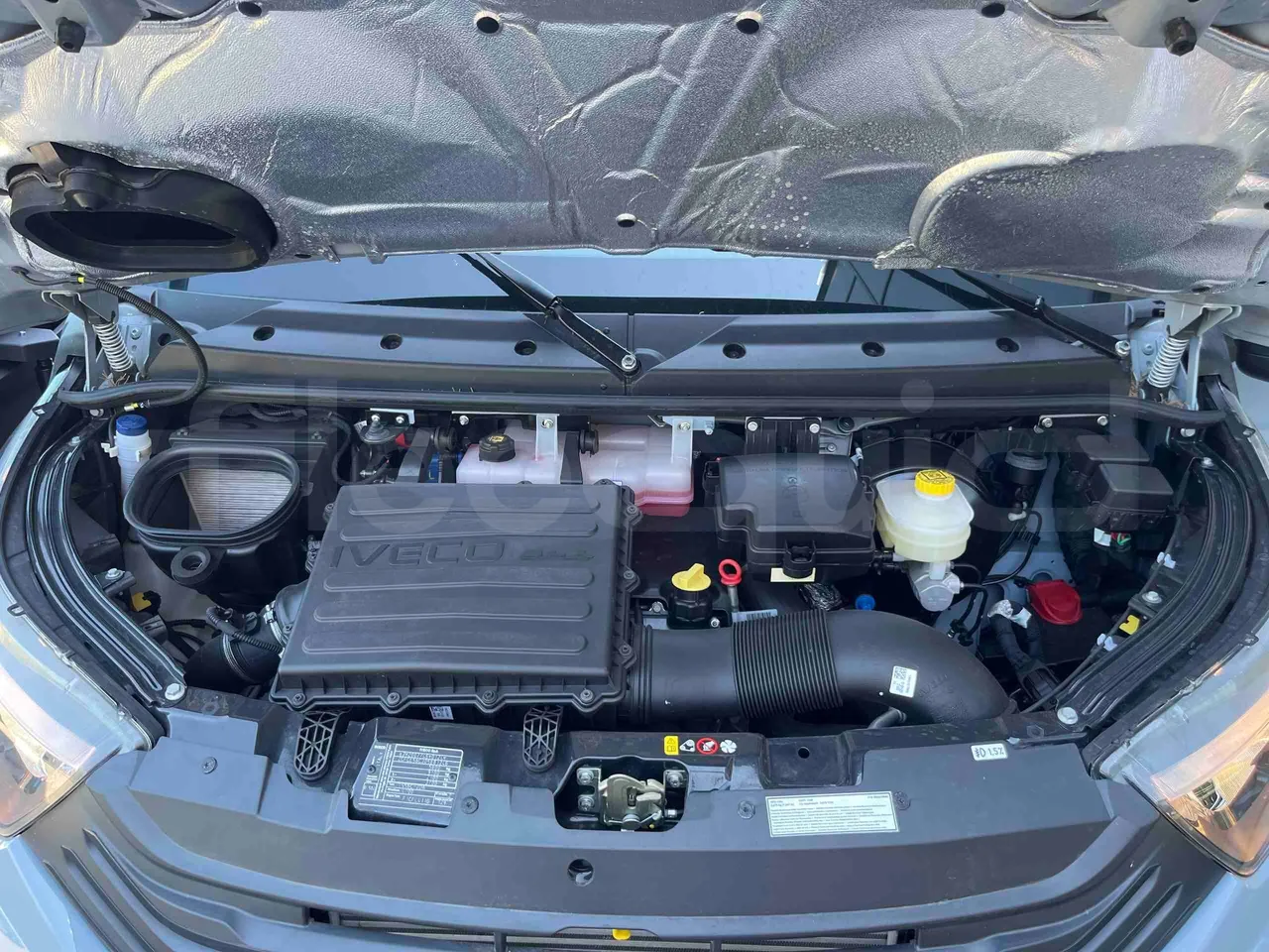 Iveco Daily - rear hatch open